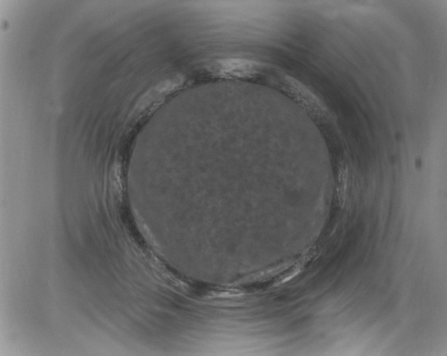 X0000084050506200703022218