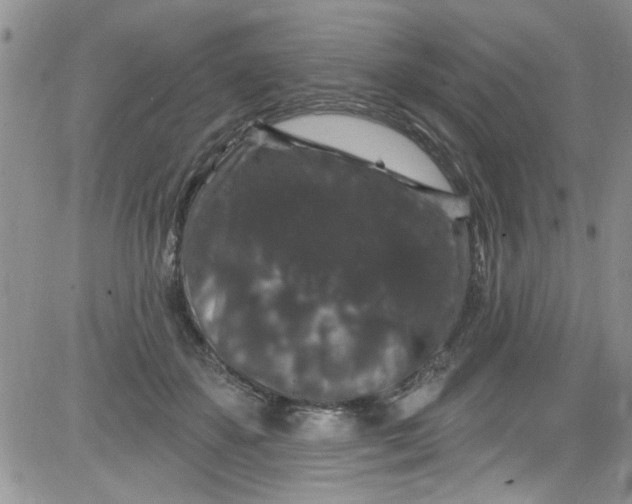 X0000084050507200703022218