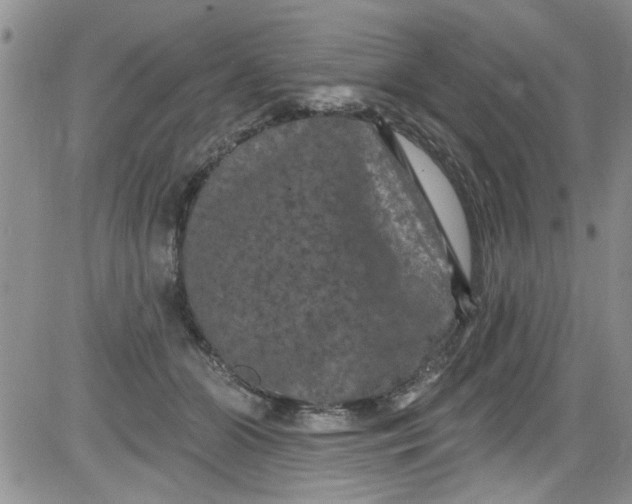 X0000084050510200703022218