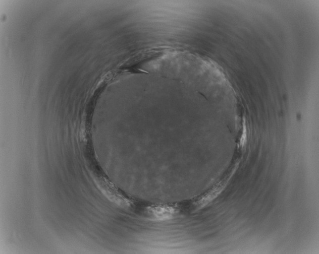 X0000084050512200703022218