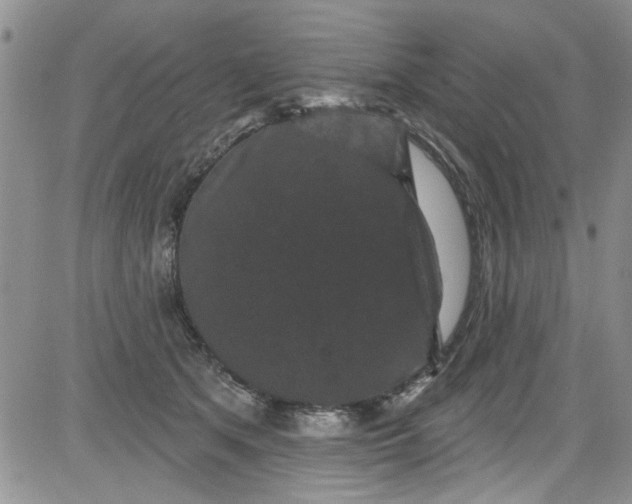 X0000084050513200703022218