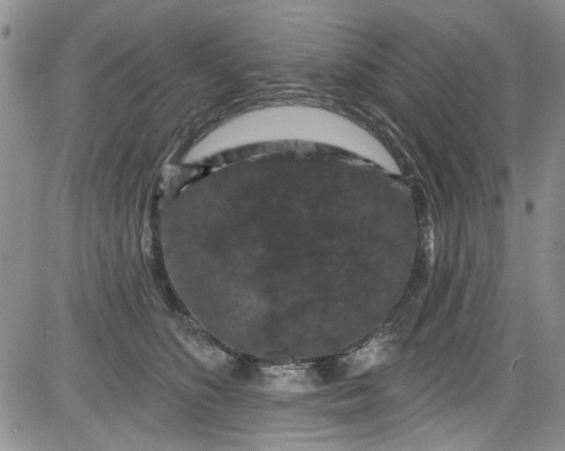 X0000084050516200703022218