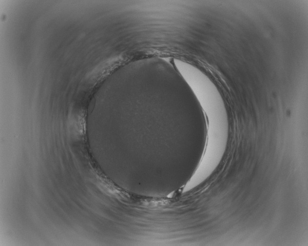 X0000084050517200703022218