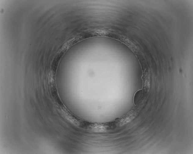 X0000084050518200703022218