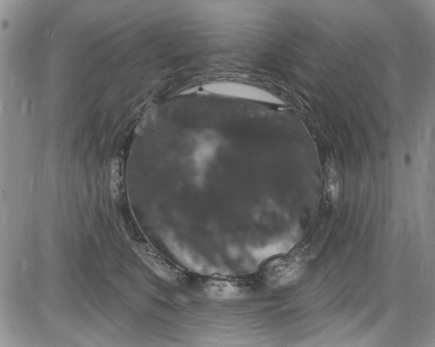 X0000084050519200703022218