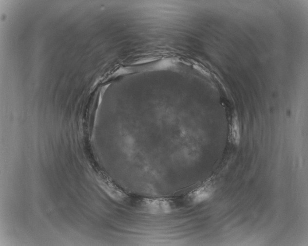 X0000084050520200703022218