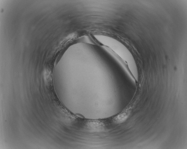 X0000084050521200703022218