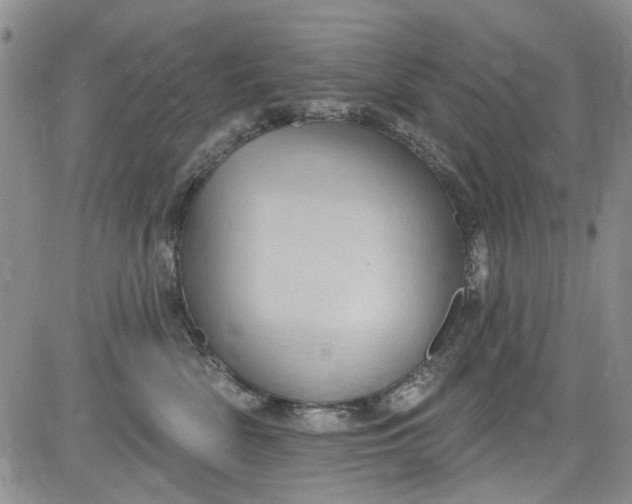 X0000084050522200703022218