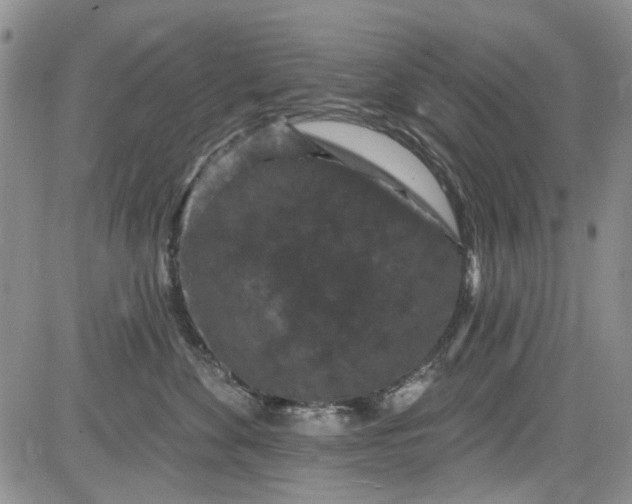 X0000084050524200703022218