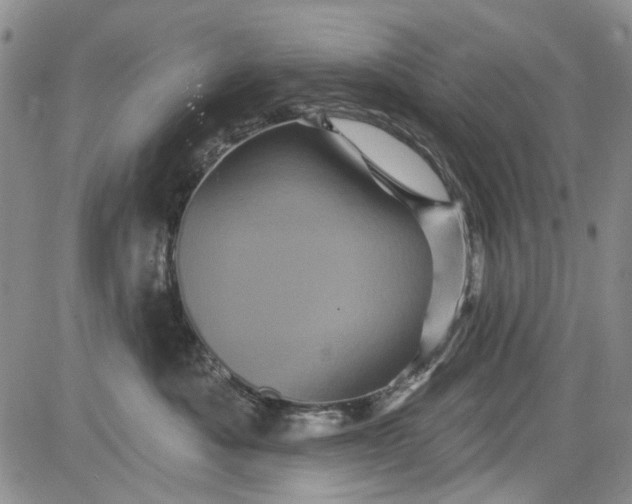 X0000084050525200703022218