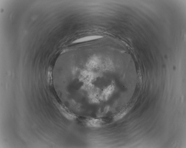 X0000084050527200703022218