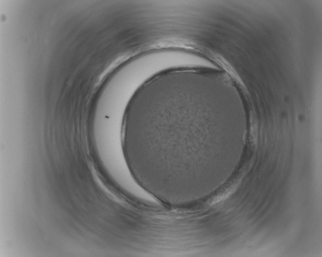 X0000084050530200703022217