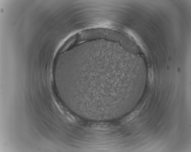 X0000084050532200703022217