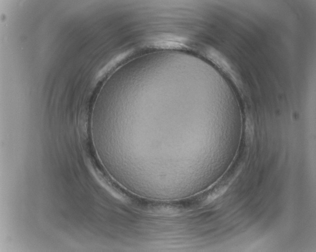 X0000084050533200703022217