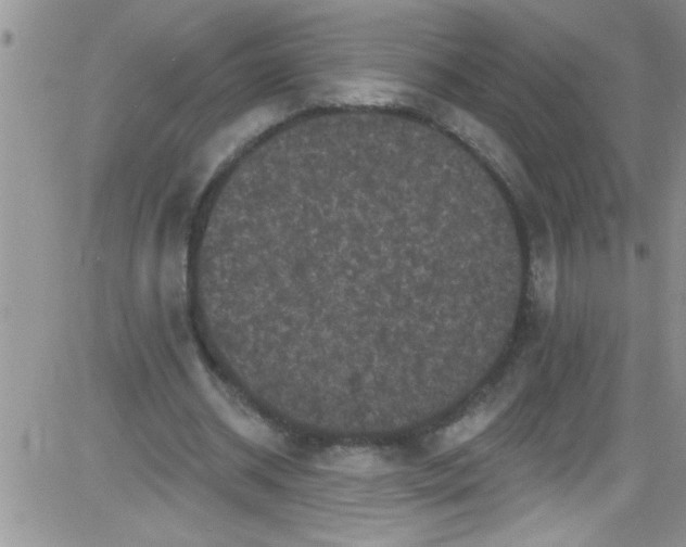 X0000084050534200703022217