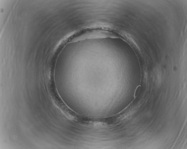 X0000084050539200703022217