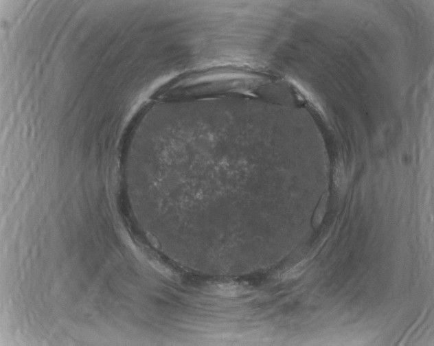 X0000084050540200703022217