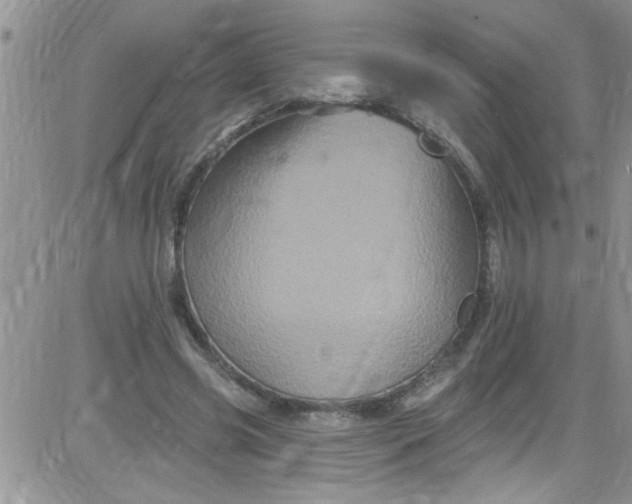 X0000084050541200703022217