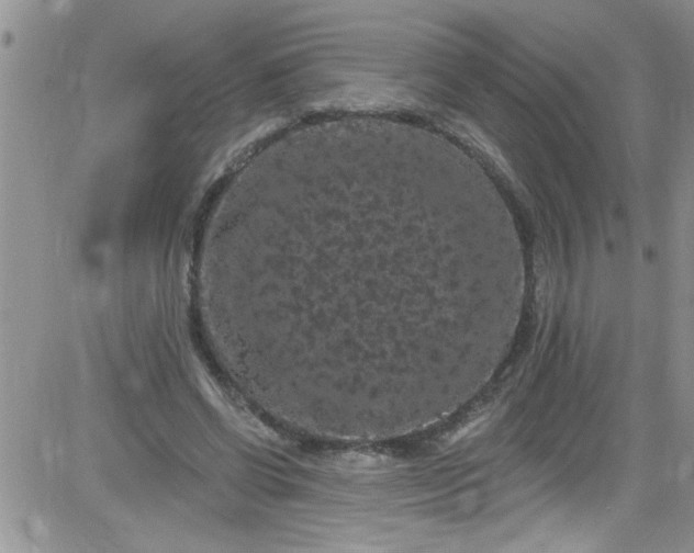 X0000084050542200703022217