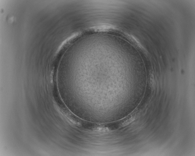 X0000084050543200703022217