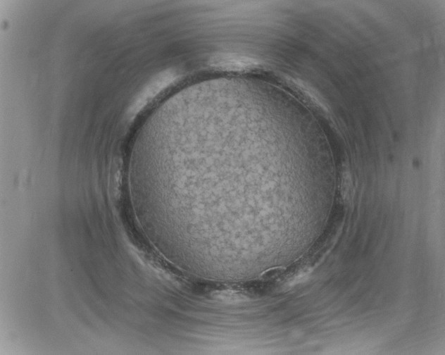 X0000084050544200703022217