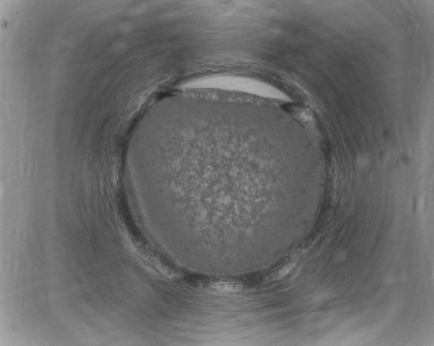 X0000084050546200703022217