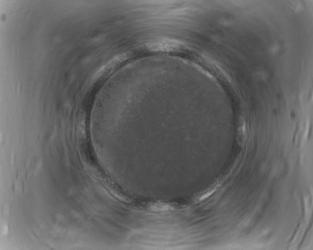 X0000084050547200703022217