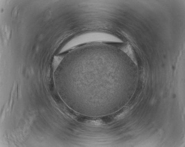 X0000084050548200703022217