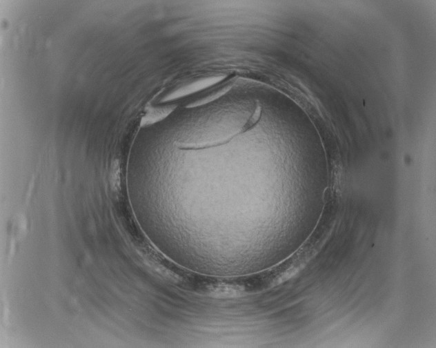 X0000084050549200703022217