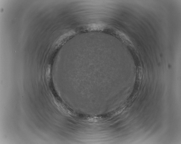 X0000084050550200703022217