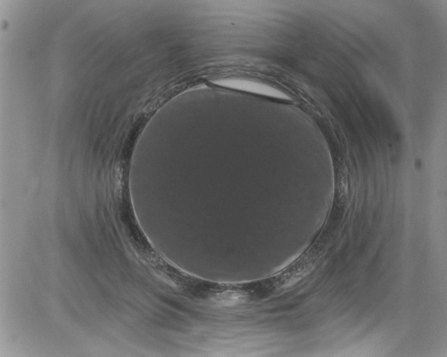 X0000084050551200703022217