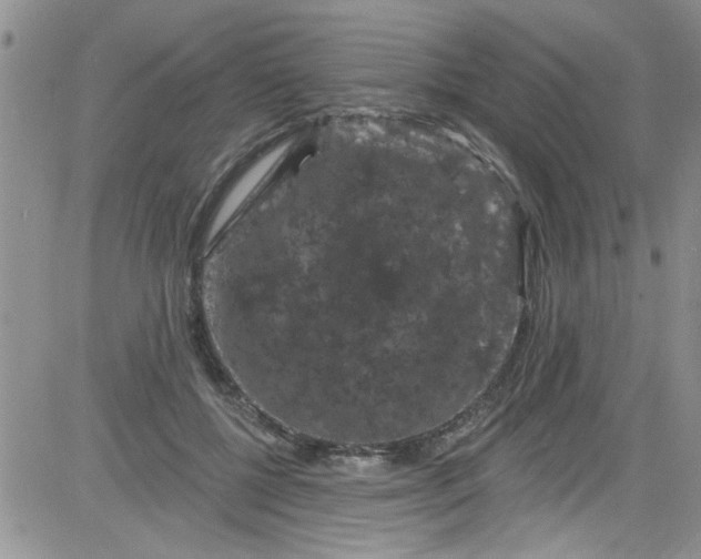 X0000084050552200703022217