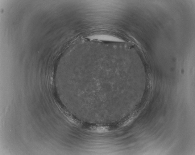 X0000084050553200703022217