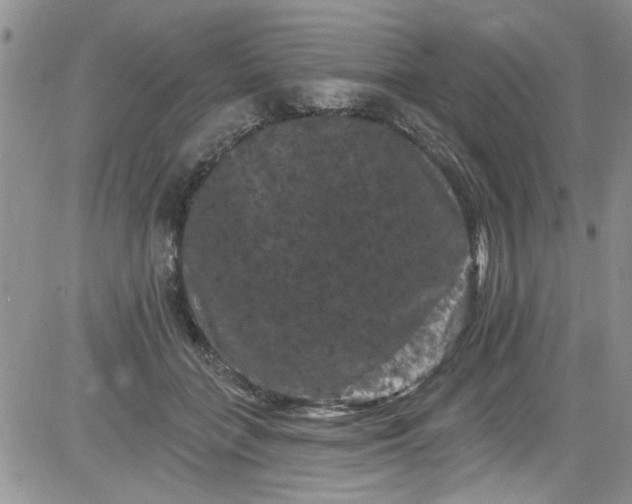 X0000084050555200703022217