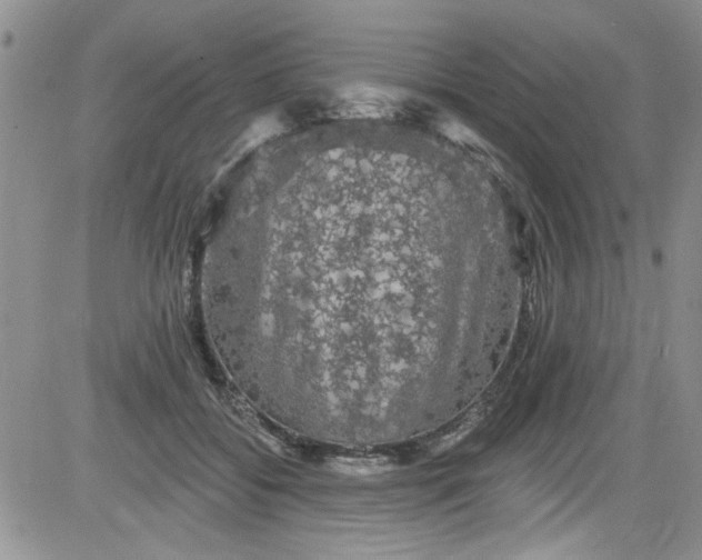 X0000084050556200703022217