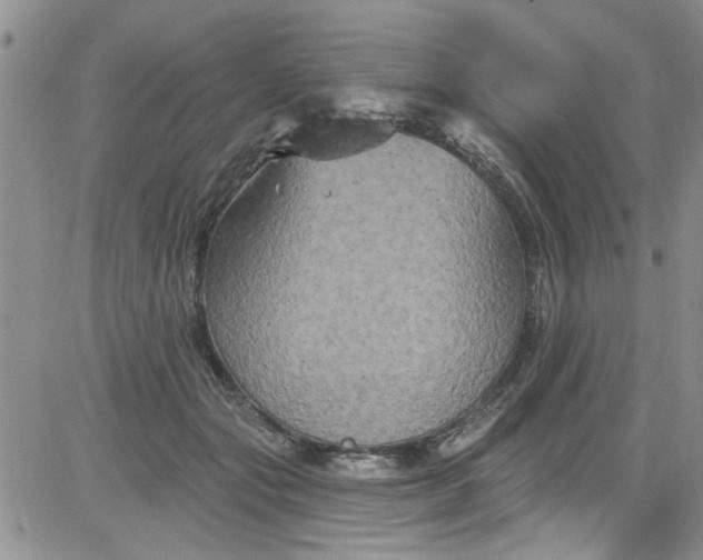 X0000084050557200703022217