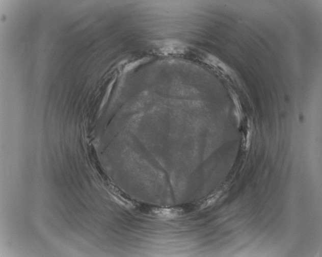 X0000084050558200703022217