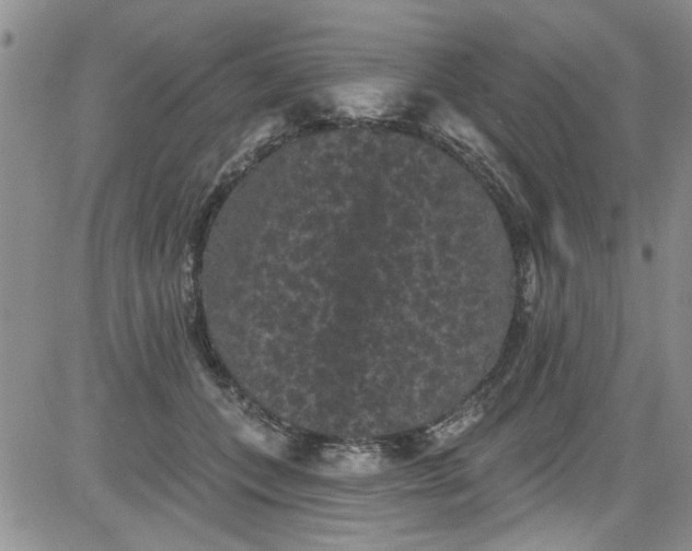 X0000084050559200703022217