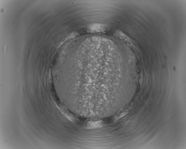 X0000084050560200703022217