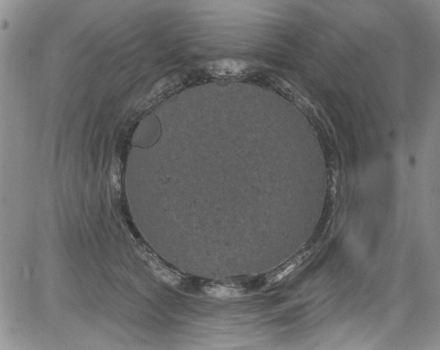 X0000084050561200703022217