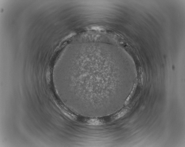 X0000084050562200703022217