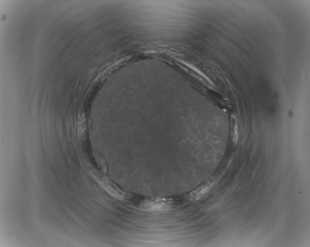 X0000084050563200703022217