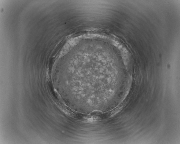 X0000084050564200703022217