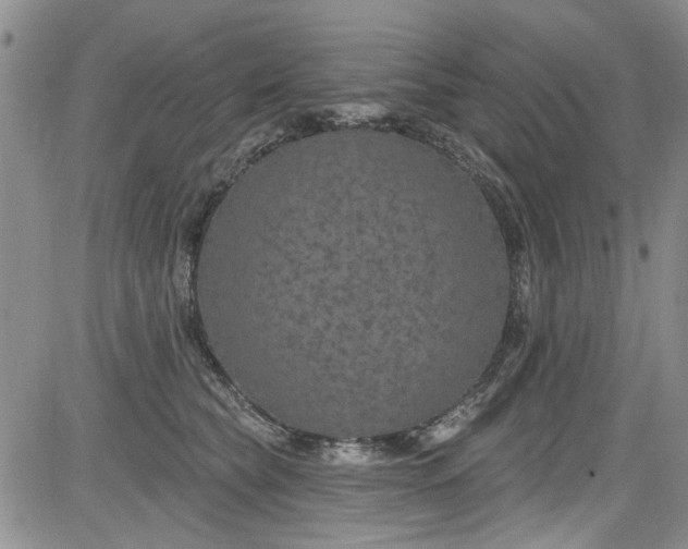 X0000084050565200703022217