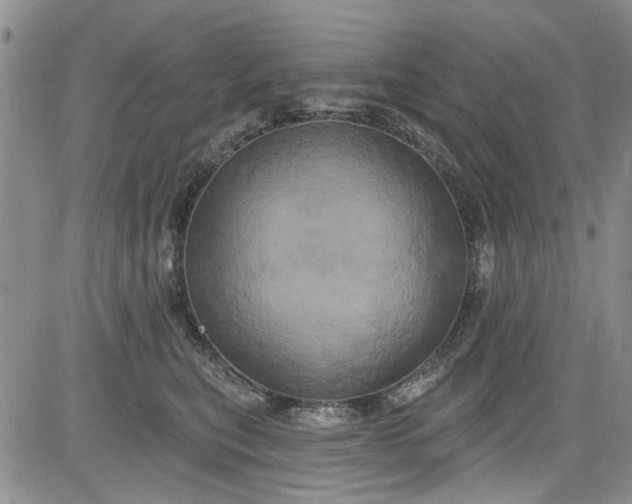 X0000084050567200703022218