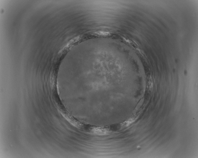 X0000084050568200703022218