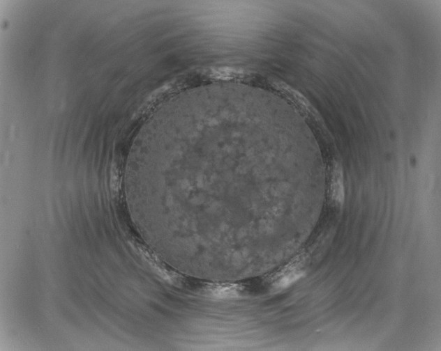 X0000084050569200703022218