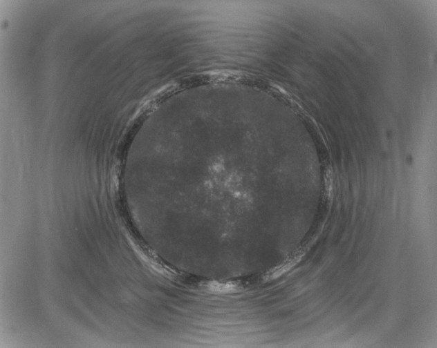 X0000084050570200703022218