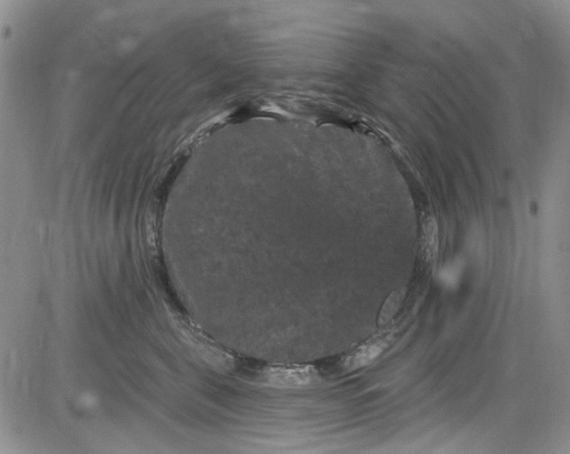 X0000084050571200703022218