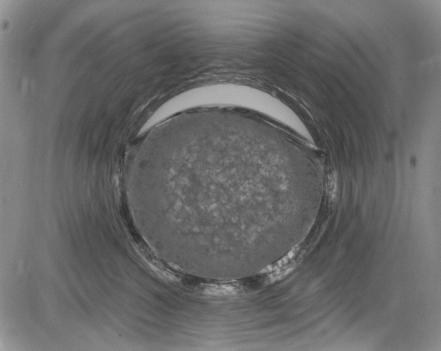 X0000084050572200703022218